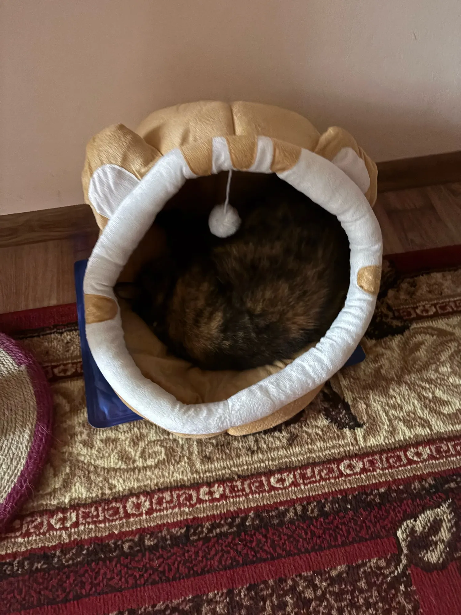 Cozy Cotton Cat Cave: Warm Pet Bed for Cats & Small Dogs photo review