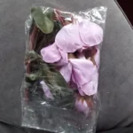 Elegant Magnolia Silk Flower Set - 5 Forks, 20 Heads for Home Decor photo review