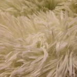 Home Plush Pet Nest Winter Cat Nest Dog Nest Warm Detachable and Washable Round Cat Nest Pet Bed Seasonal Universal Decoration photo review
