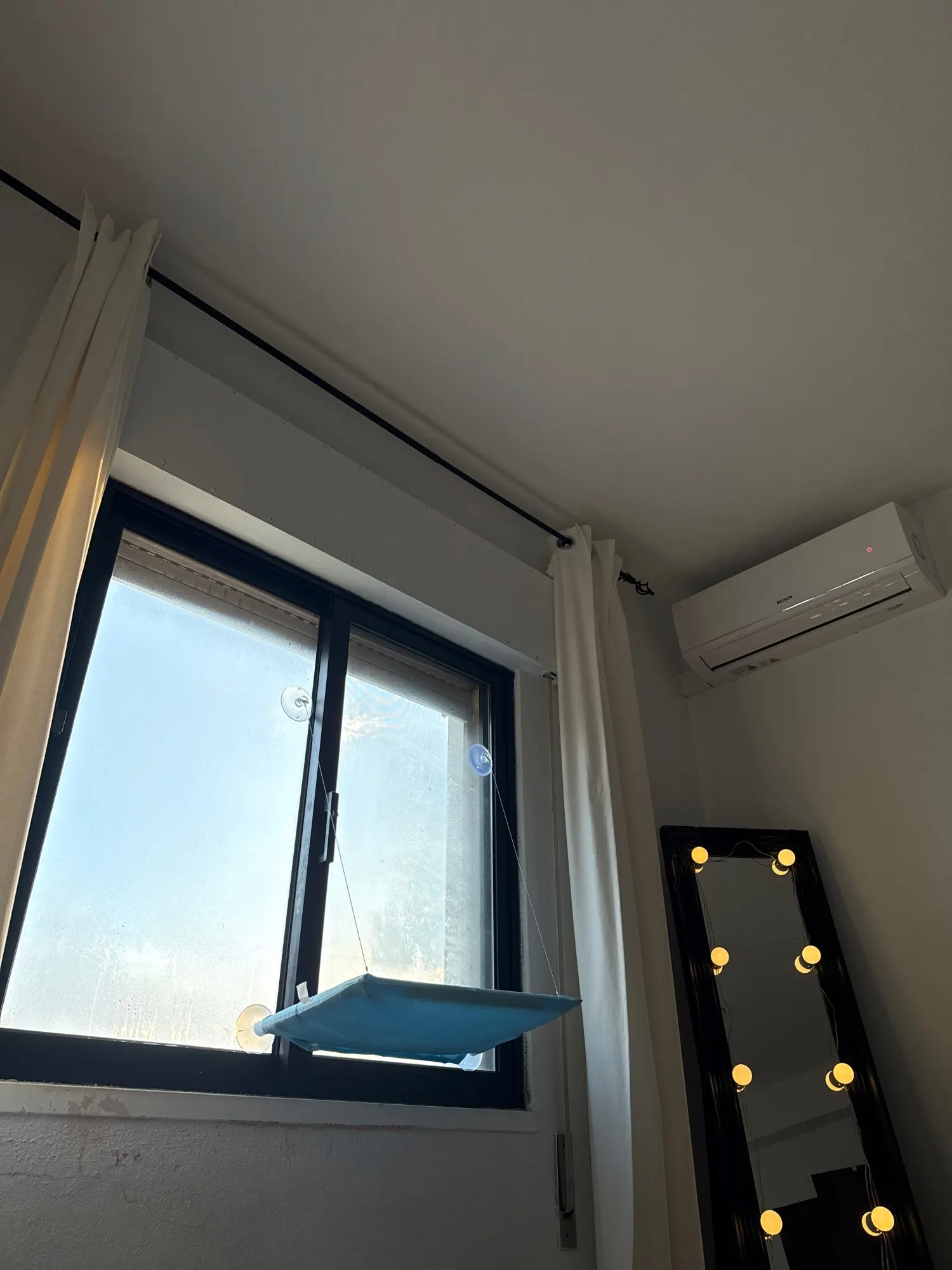 Sunny Cat Hammock Bed - Cozy Aerial Window Nest for Cats photo review