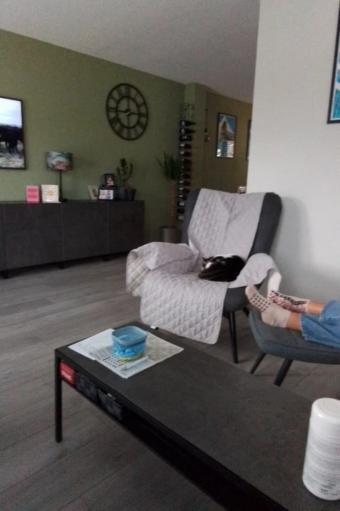 Solid Color Anti-Slip Recliner Sofa Cover for Pets & Kids photo review