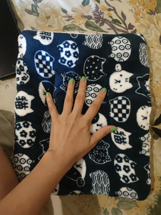 Cozy Plush Cat & Small Dog Bed Mat - Breathable & Soft photo review