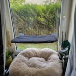 Sunny Cat Hammock Bed - Cozy Aerial Window Nest for Cats photo review