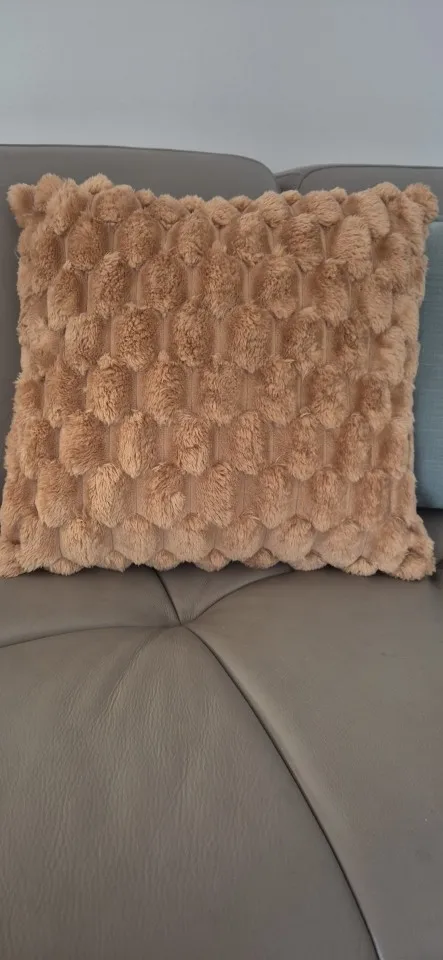 Cozy Cream Pineapple Turtle Plush Pillowcase for Home Decor photo review