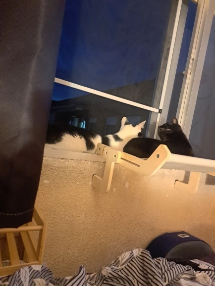 Cozy Cat Hammock with Window View & Wooden Stand photo review