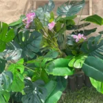 Lifelike Tropical Ficus Tree - No-Maintenance Home Decor photo review