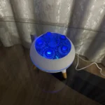 Enchanting Jellyfish Flame Humidifier & Aroma Diffuser 350 ML photo review