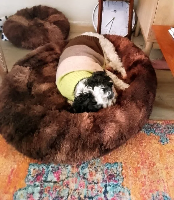 Plush Donut Cat Bed: Cozy, Washable Comfort for Pets photo review