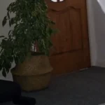 Chic Straw Weaving Flower Pot Basket for Indoor & Outdoor Decor photo review