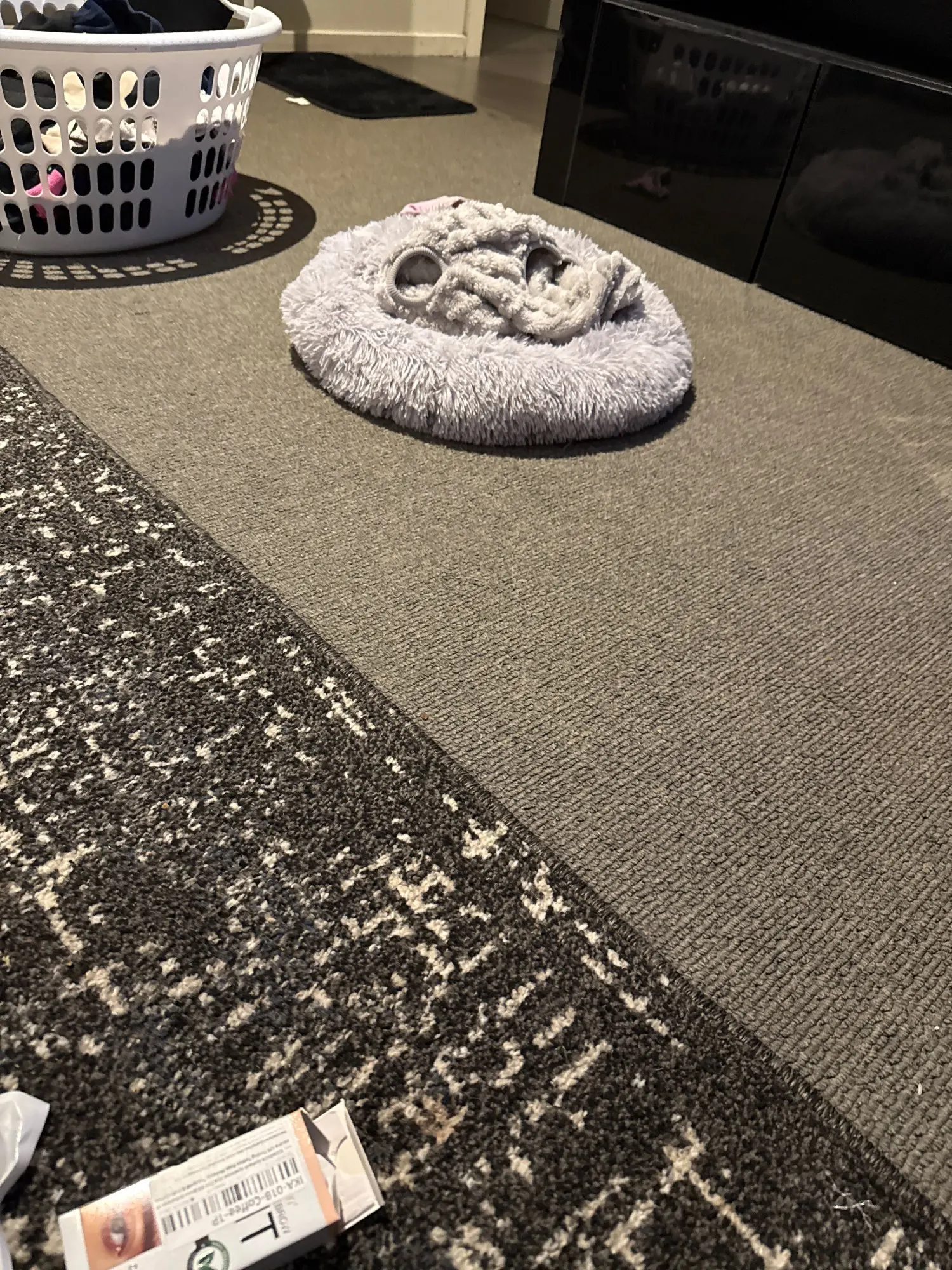 Cozy Plush Cat Bed for Ultimate Warmth & Comfort photo review