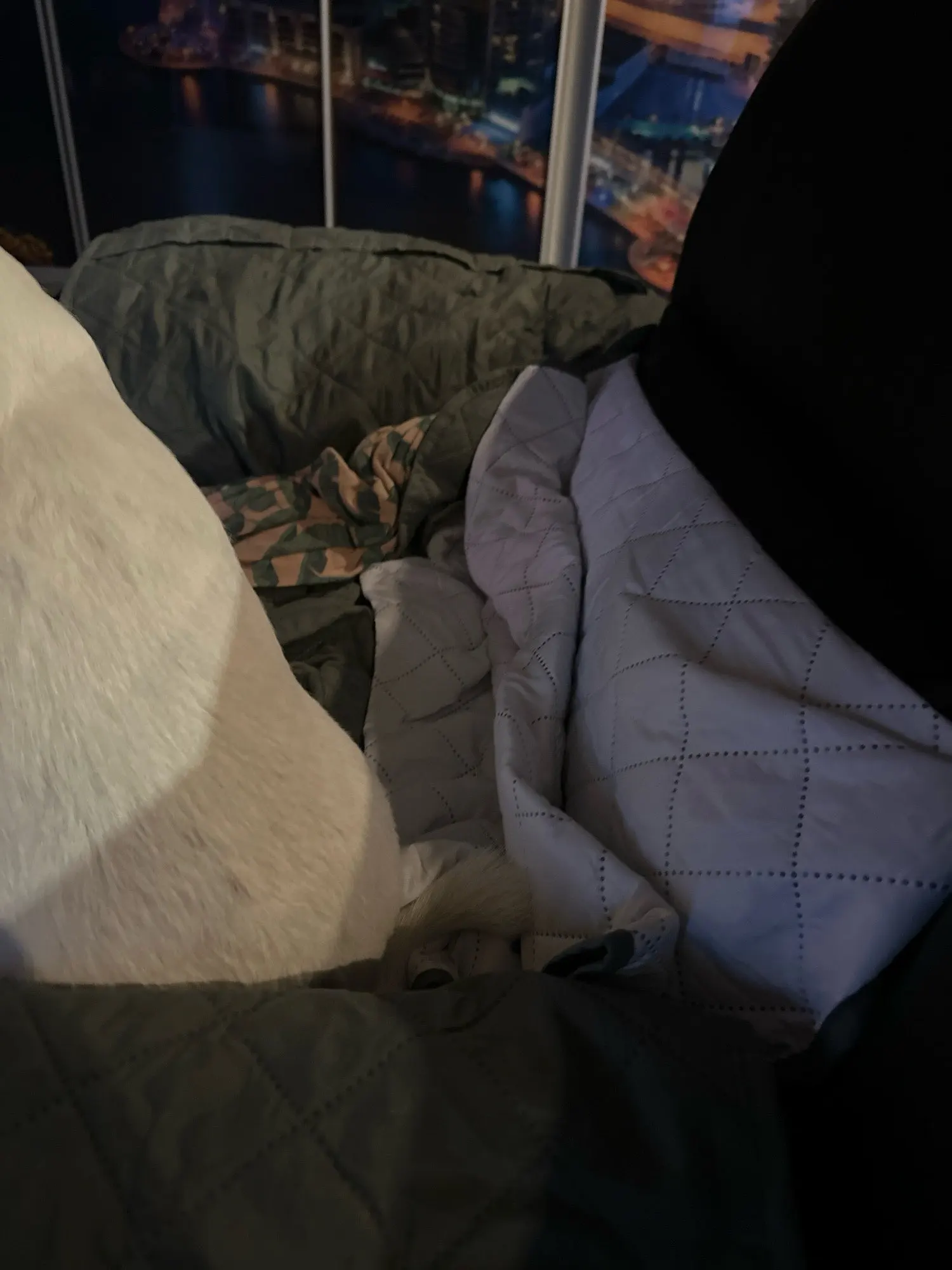 Luxurious 1-Seater Recliner Cover for Pets & Kids - Non-Slip photo review