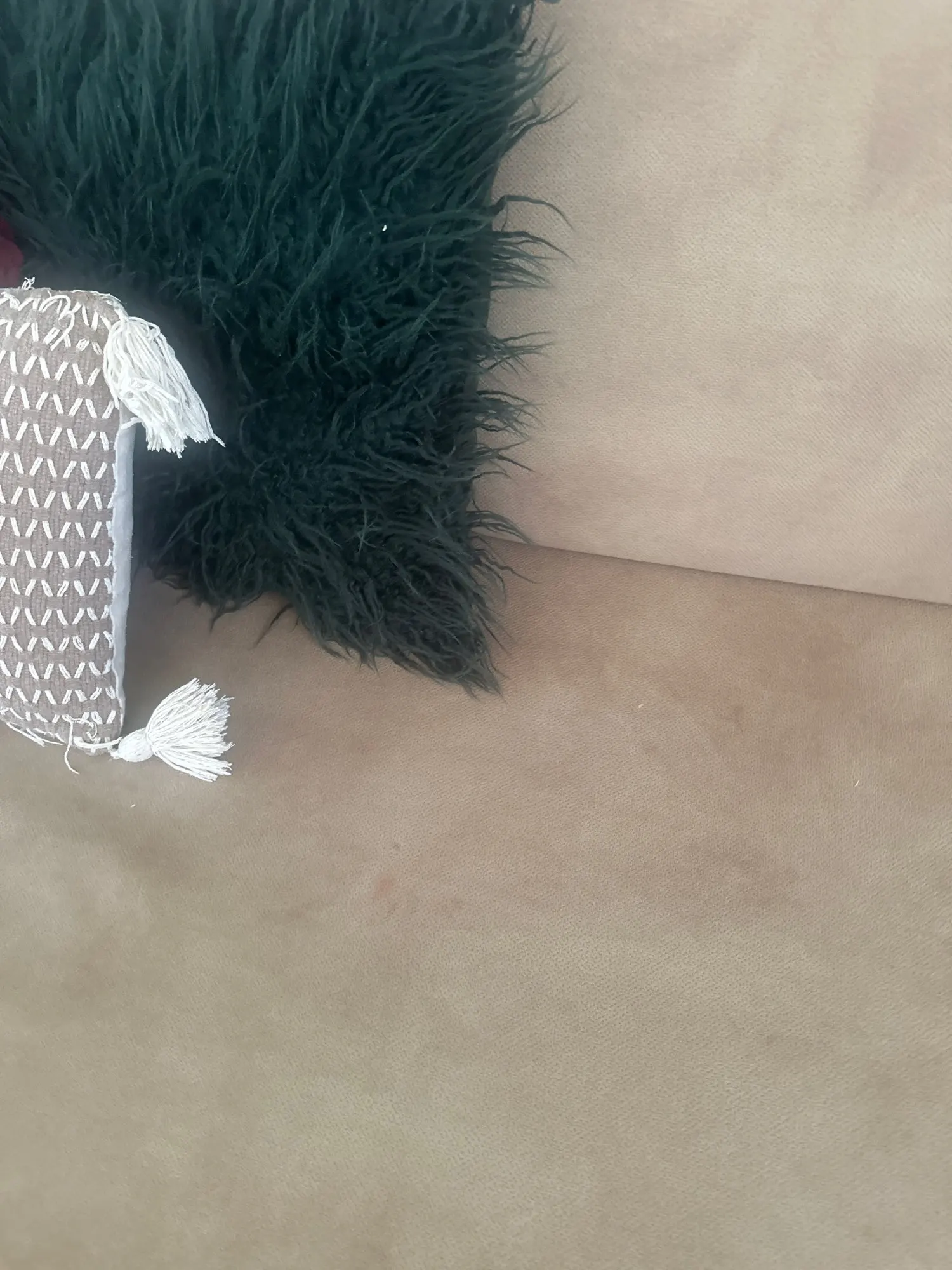 Luxurious Jacquard Sofa Cover for Custom Fit Comfort photo review