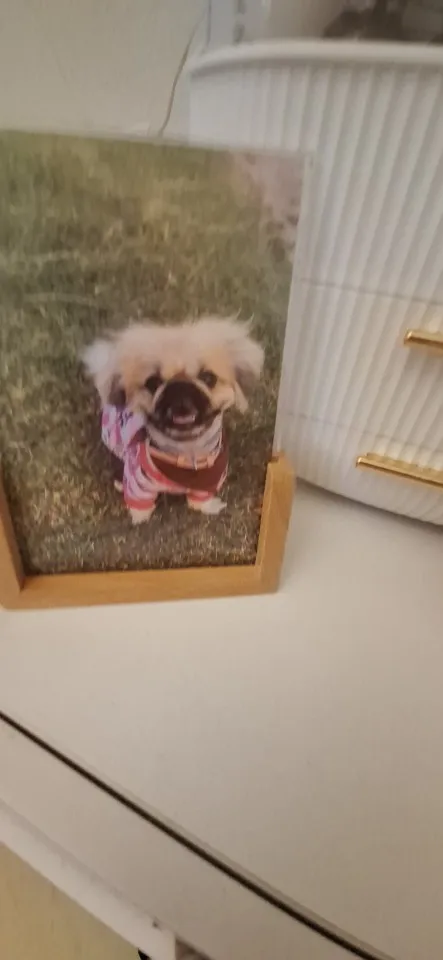 Stylish U-Shape Acrylic Photo Frame for Cherished Memories photo review