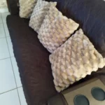 Cozy Cream Pineapple Turtle Plush Pillowcase for Home Decor photo review