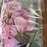 Elegant Magnolia Silk Flower Set - 5 Forks, 20 Heads for Home Decor photo review