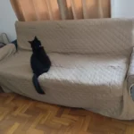 Waterproof Sofa Slipcover for Kids & Pets - Non-Slip Comfort photo review