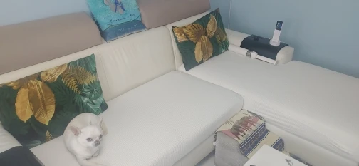 Luxurious Stretch Sofa Cover – Ultimate Living Room Protection photo review