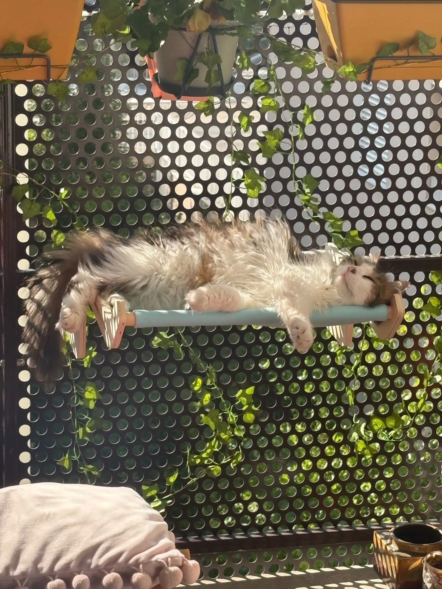 Cozy Cat Hammock with Window View & Wooden Stand photo review