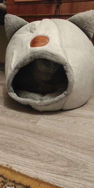 Cozy Cotton Cat Cave: Ultimate Winter Pet Bed Retreat photo review