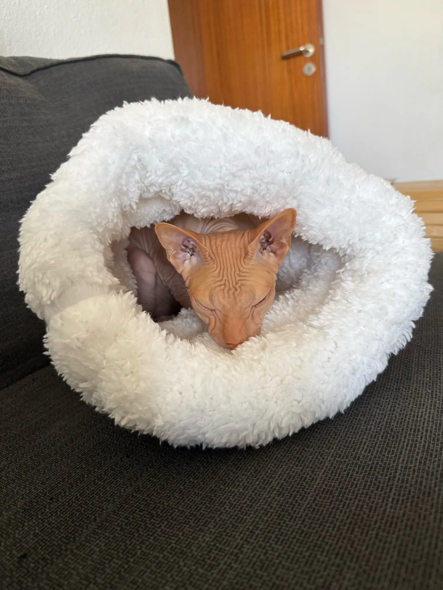 Cozy Plush Cat Sleeping Bag - Ultra Soft Travel Nest photo review