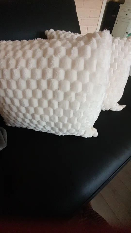 Cozy Cream Pineapple Turtle Plush Pillowcase for Home Decor photo review