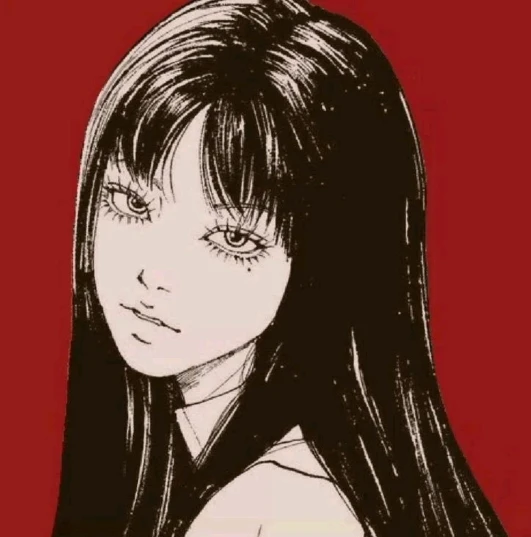 Plush Donut Cat Bed: Cozy, Washable Comfort for Pets photo review