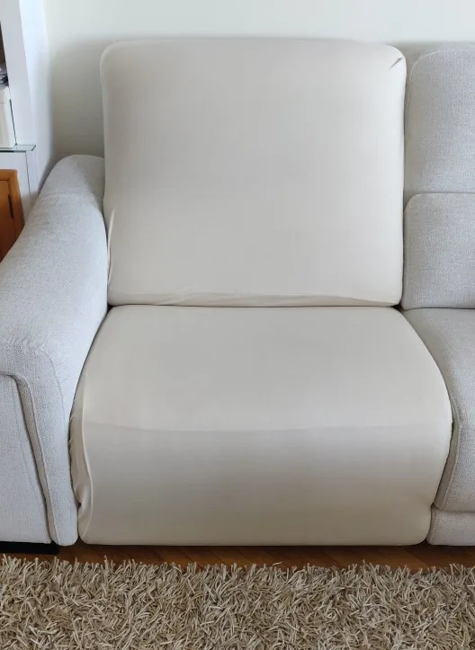 Waterproof Sofa Cushion Cover - Elastic Pet & Kid Protector photo review