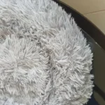 Cozy Plush Cat Bed for Ultimate Warmth & Comfort photo review