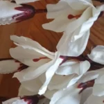 Elegant Magnolia Silk Flower Set - 5 Forks, 20 Heads for Home Decor photo review