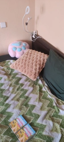 Cozy Cream Pineapple Turtle Plush Pillowcase for Home Decor photo review