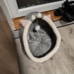 Cozy Cartoon Cat Bed: Removable, Washable, & Foldable Delight photo review