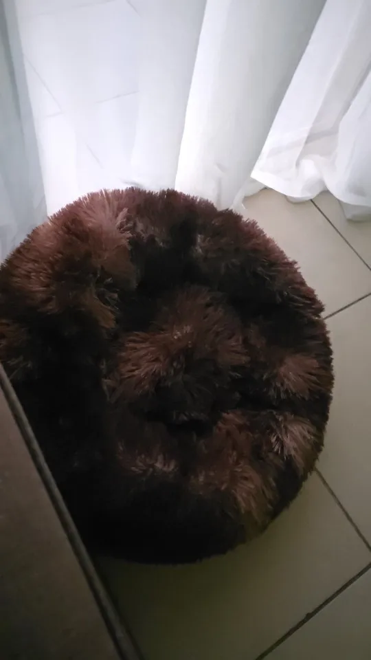 Cozy Round Pet Bed in Stylish Gradient for Large Dogs photo review