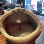 Cozy Cartoon Cat Bed: Removable, Washable, & Foldable Delight photo review