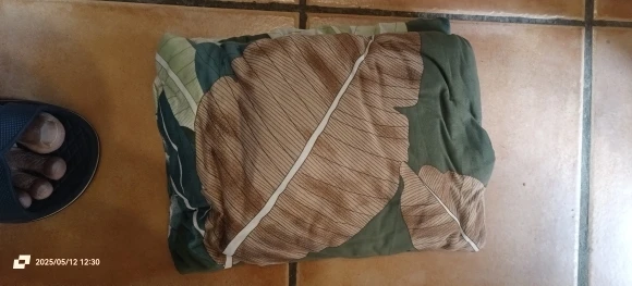 Floral Elastic Sofa Cover: Stylish Protection for Your Space photo review