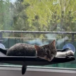 Sunny Cat Hammock Bed - Cozy Aerial Window Nest for Cats photo review