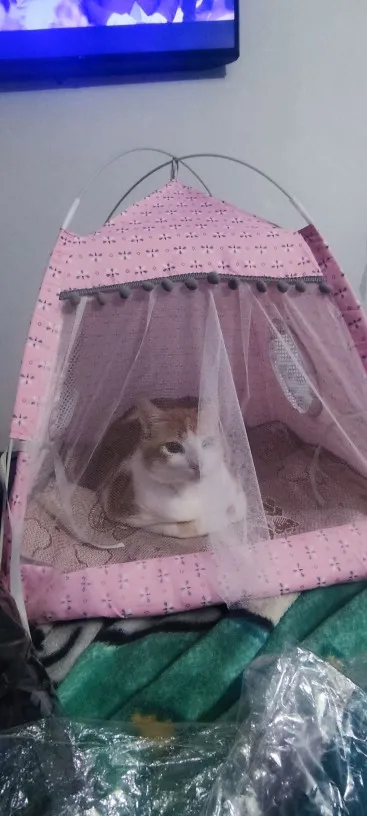 Cozy Flower Tent Nest for Cats & Small Dogs - All Seasons photo review