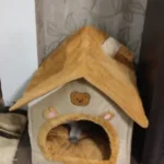 Cozy Foldable Pet House: Washable Cave for Cats & Small Dogs photo review