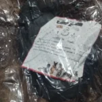 Cozy Round Pet Bed in Stylish Gradient for Large Dogs photo review