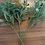 Lifelike Olive Leaves Branch - 1 or 3 Pcs for Elegant Decor photo review