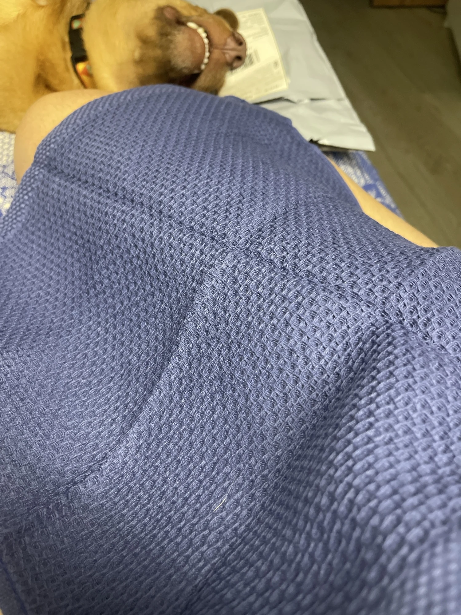 Ultra-Soft 100% Cotton Dishcloth for Effortless Cleaning photo review