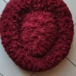 Plush Donut Cat Bed: Cozy, Washable Comfort for Pets photo review