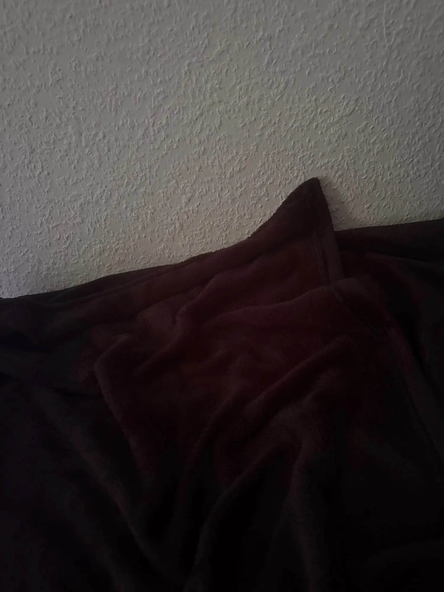 Cozy Coral Fleece Blanket - Luxurious Softness for All Seasons photo review