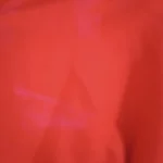 Solid Stretchable Armless Sofa Bed Cover for Easy Revamp photo review