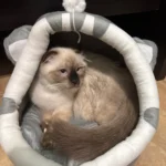 Cozy Cotton Cat Cave: Warm Pet Bed for Cats & Small Dogs photo review