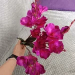 Elegant Magnolia Silk Flower Set - 5 Forks, 20 Heads for Home Decor photo review