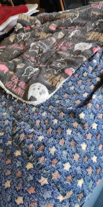 Cozy Plush Cat & Small Dog Bed Mat - Breathable & Soft photo review