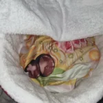 Cozy Super Large Pet Nest Bed for Dogs and Cats photo review