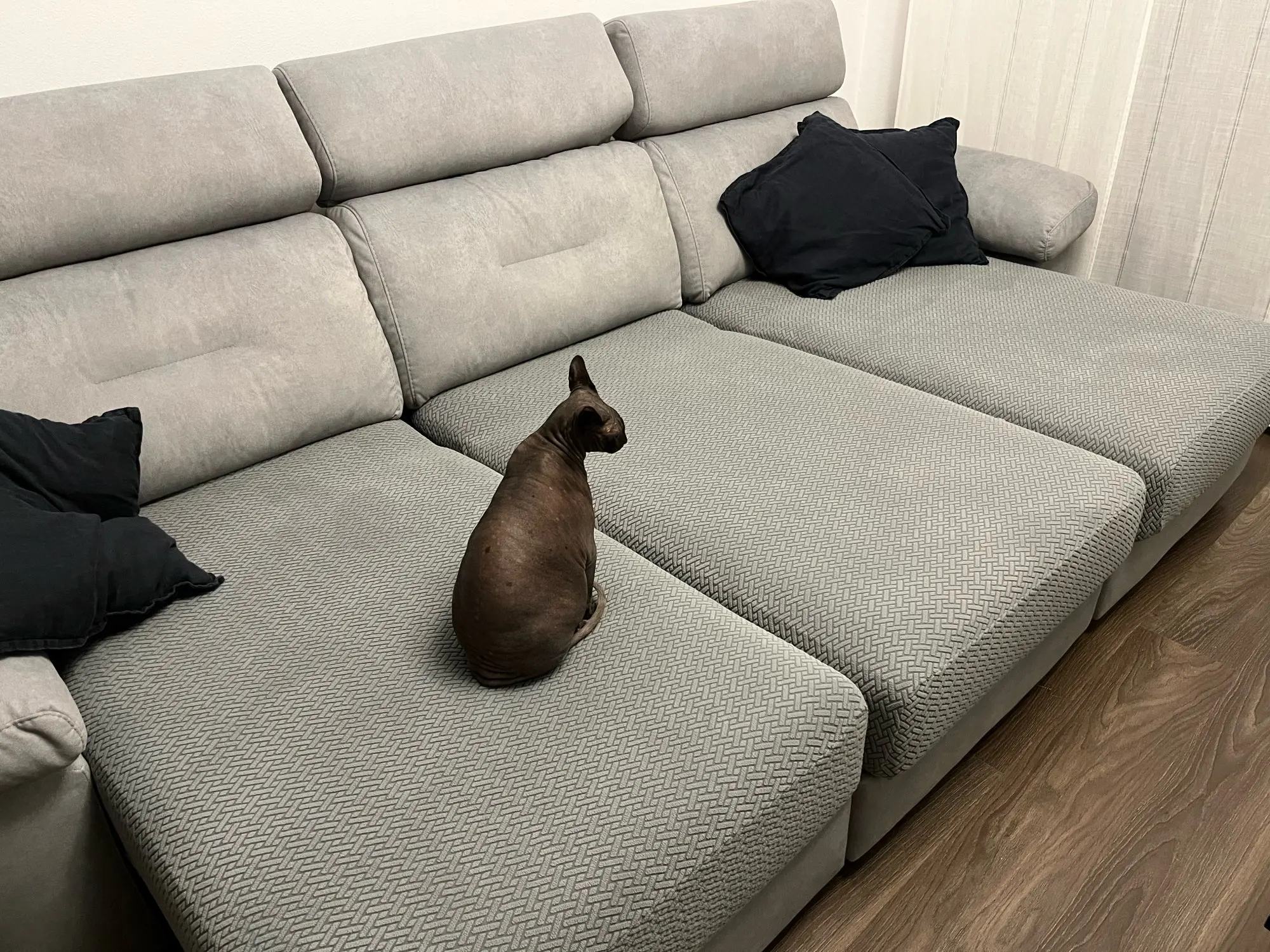 Elegant Jacquard Sofa Cover - Soft, Stretchy Protection for All Sofas photo review