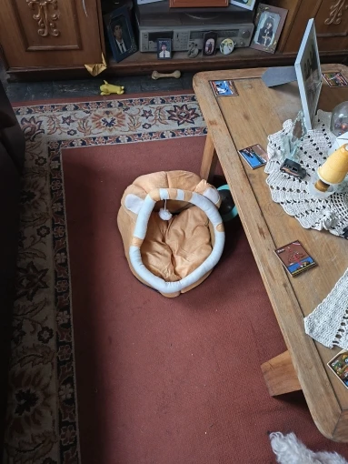 Cozy Cotton Cat Cave: Warm Pet Bed for Cats & Small Dogs photo review