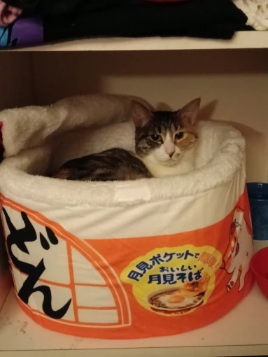 Cozy Instant Noodle Pet Bed for Dogs and Cats - Warm Nest photo review